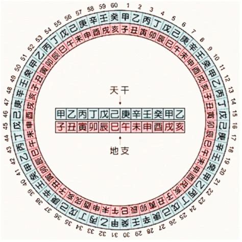 天干 地支 對照 表|天干地支对照表